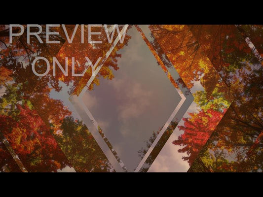 Fall Trees 1 Remix Still