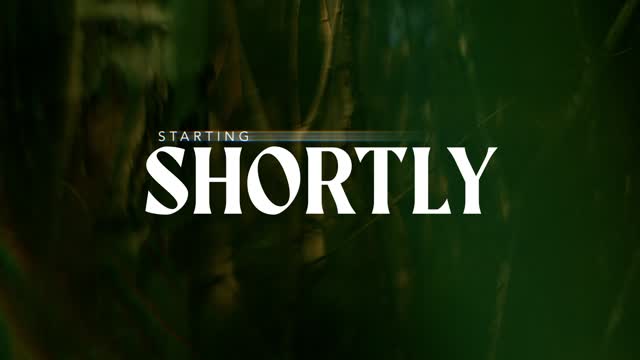Like A Tree Starting Soon
