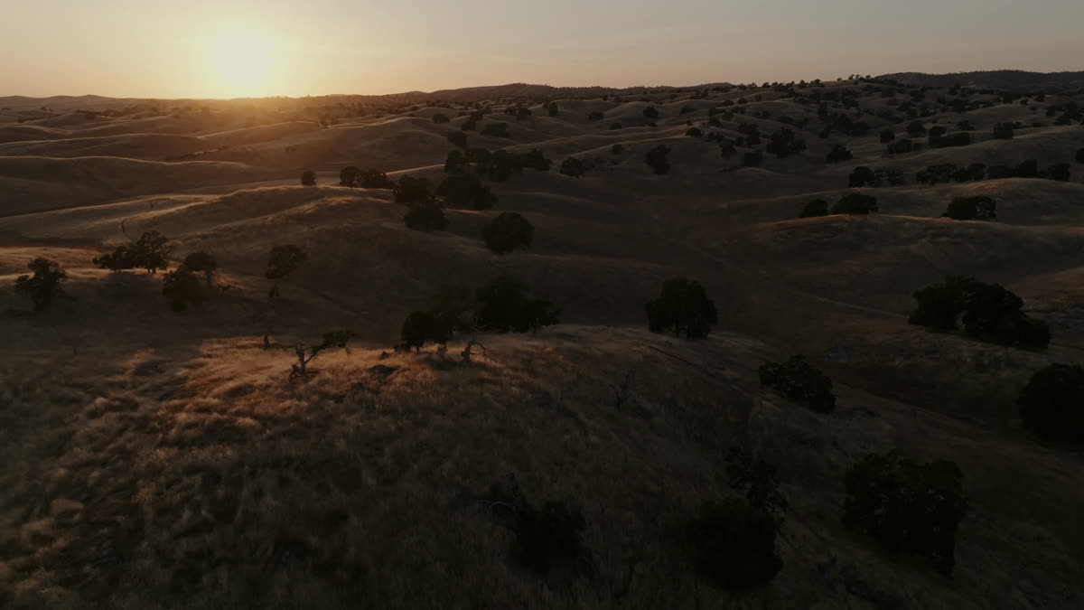Golden Pastures Still 13