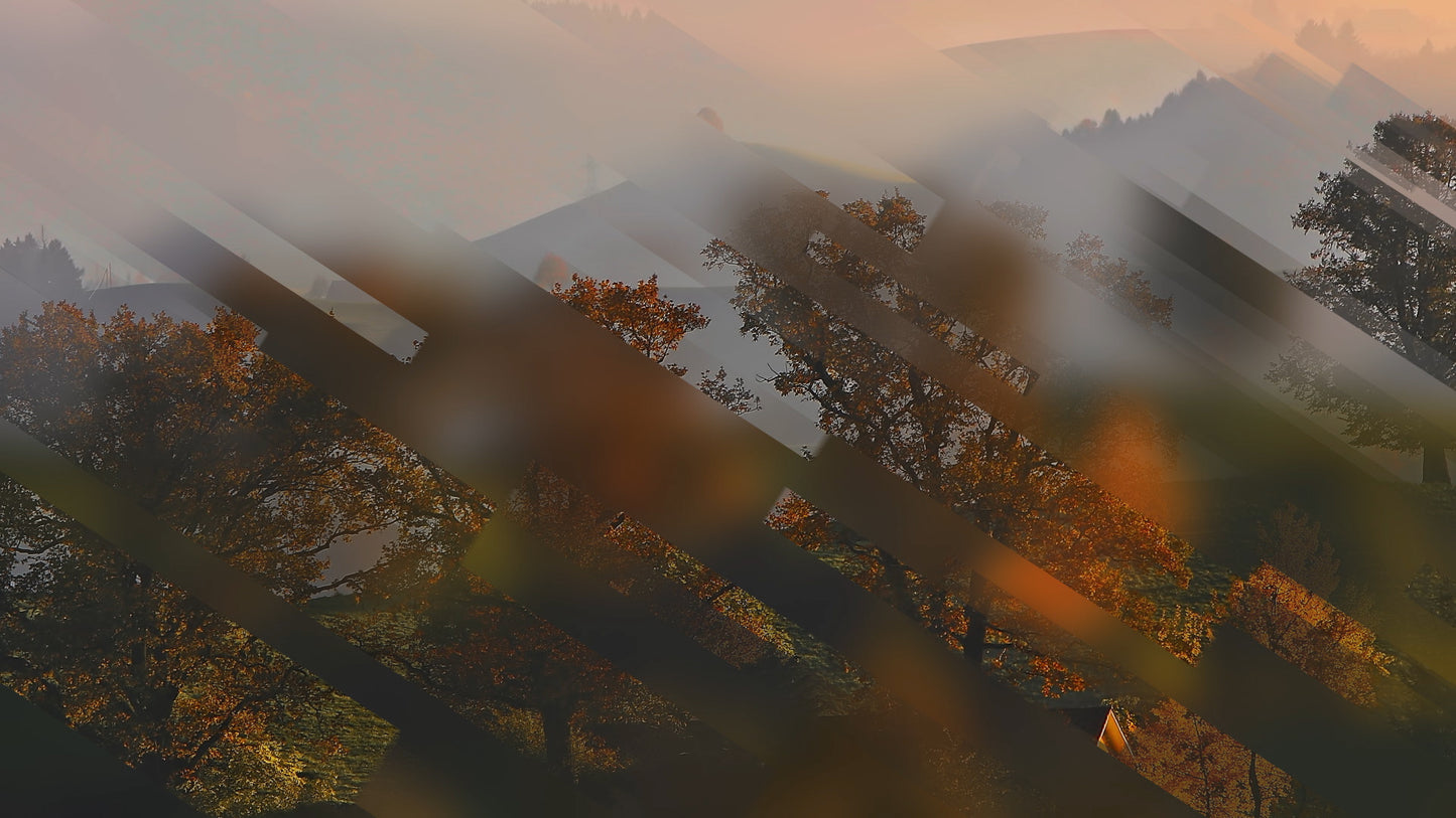 Autumn Journey 14 Still