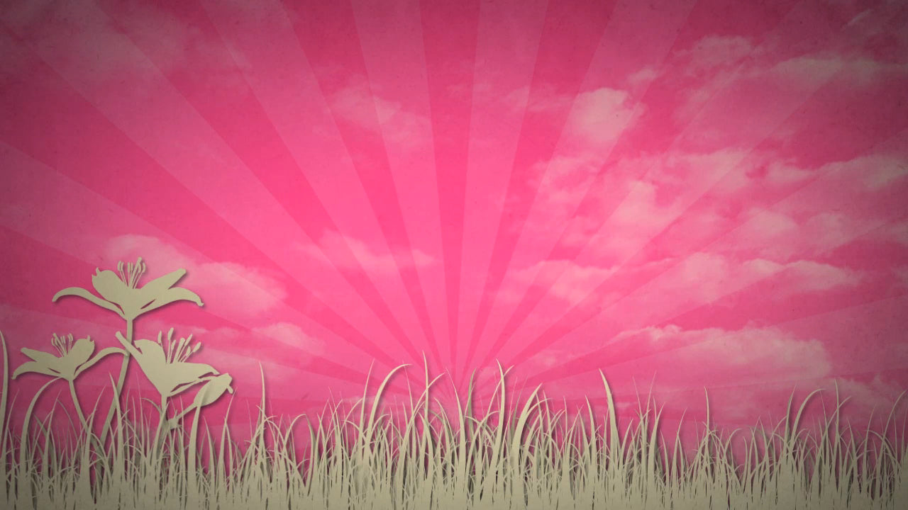 Pink Floral 03 Still