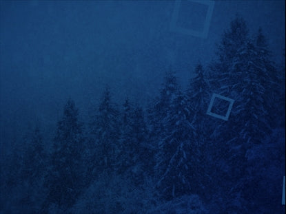 Blue Forest