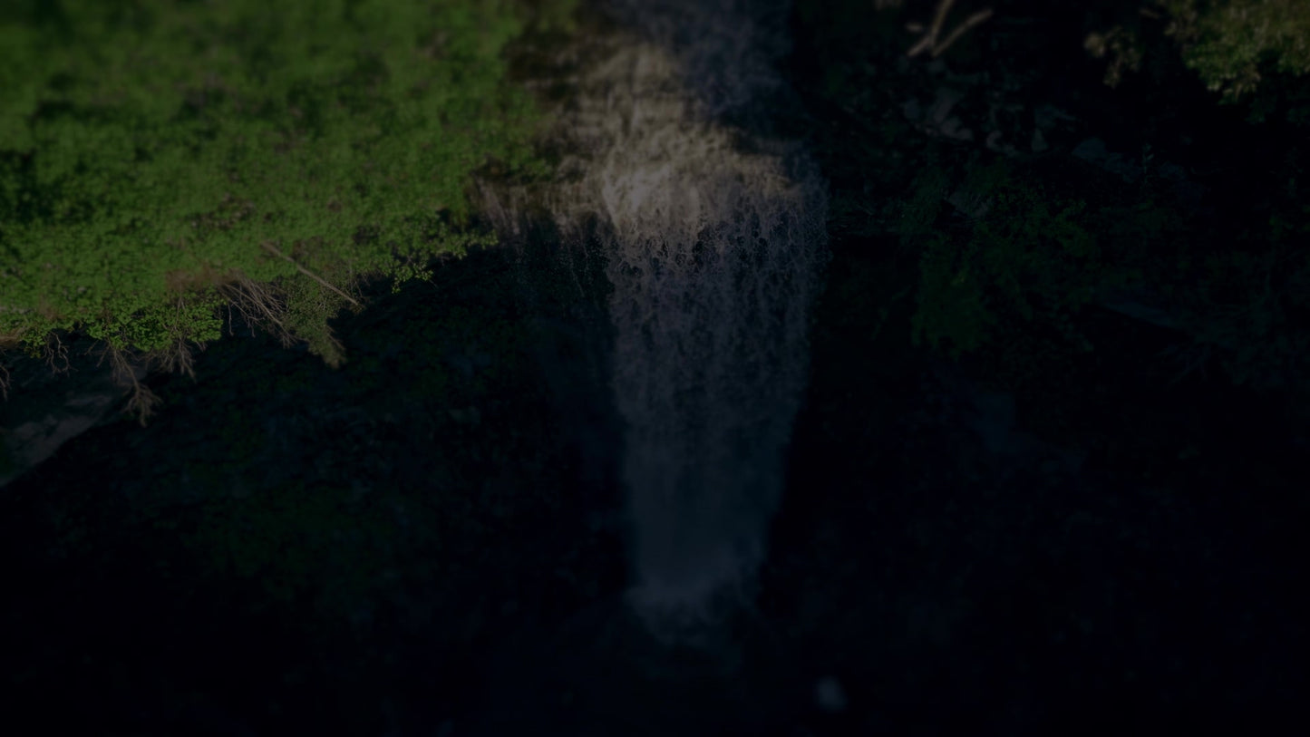 Nature'S Force 2 Darken