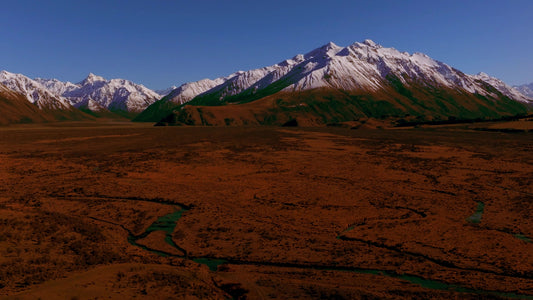 Unending Vista 11 Amber Still