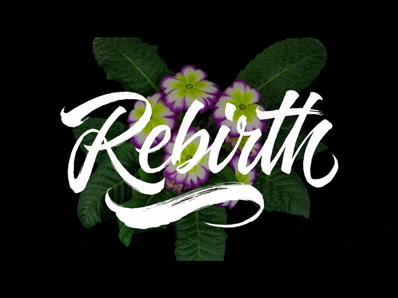 Rebirth