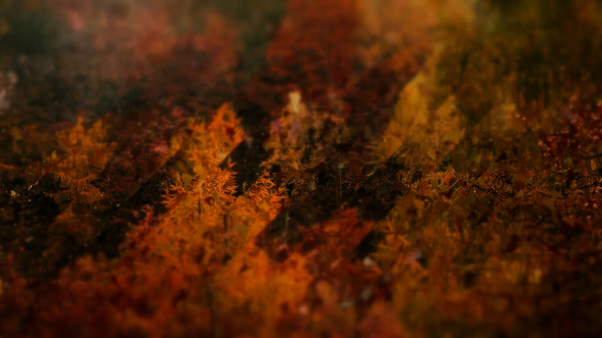 Autumns End 4