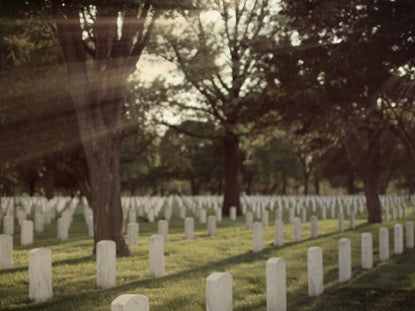 Military Cemetery, Forest Rays