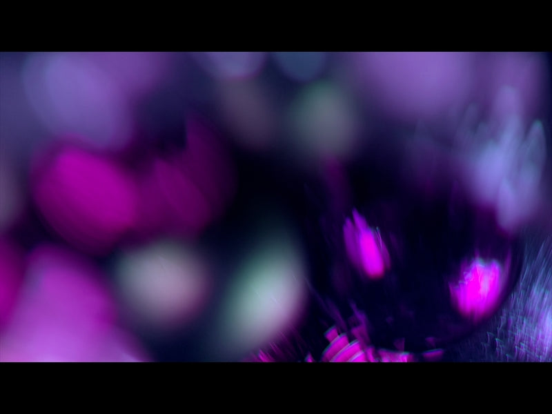 Christmas Ornamental 13