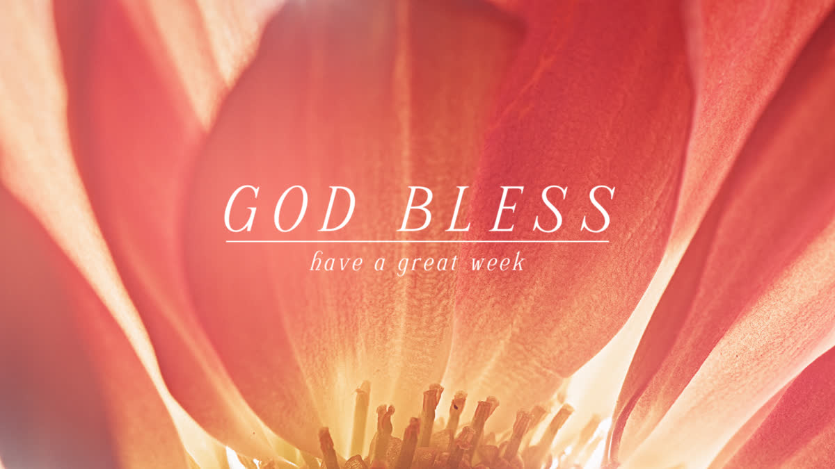 Flowers Of The Field Still God Bless