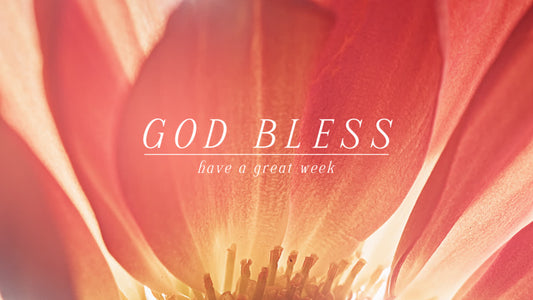 Flowers Of The Field Still God Bless