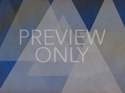 Triangulation 5 Still