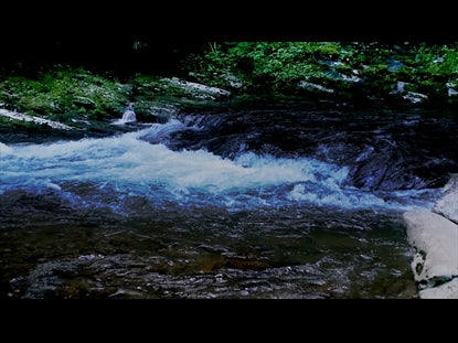 River Wild 13