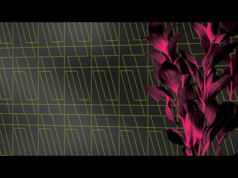 Neon Natro Loop 03