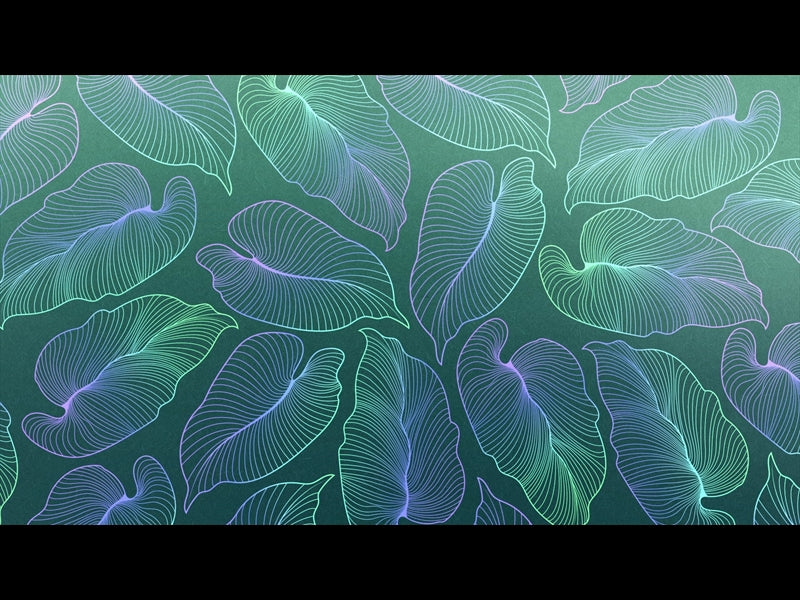 Tropical Night Loop 08