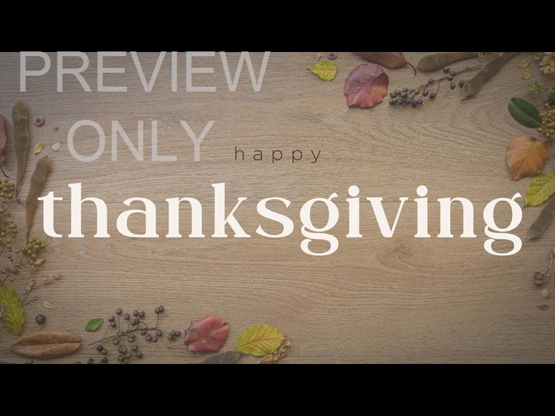 Abundance Thanksgiving Still