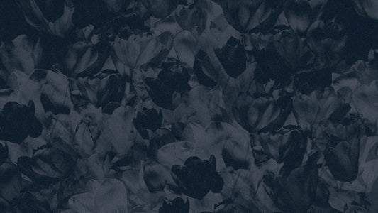 Hyper Bloom 13 Still