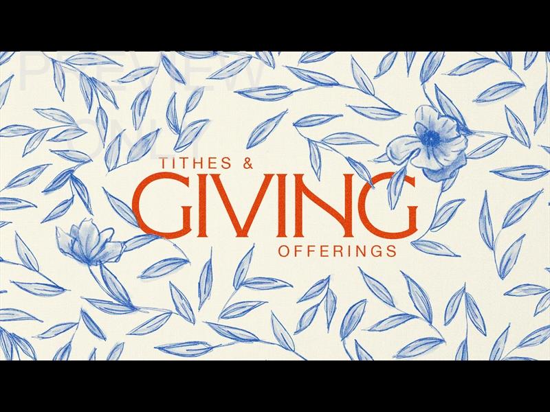 Floral Sketch Giving Still