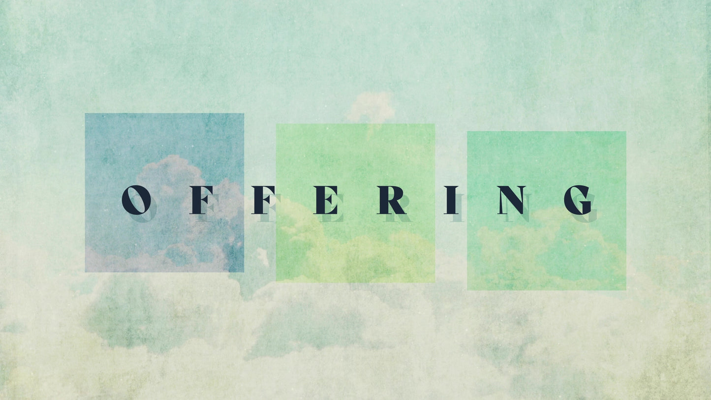 Summer Shapes Offering Still