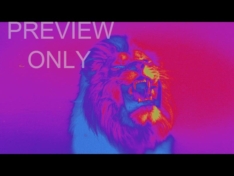 Bible Animals 2 Lion Color Map Still