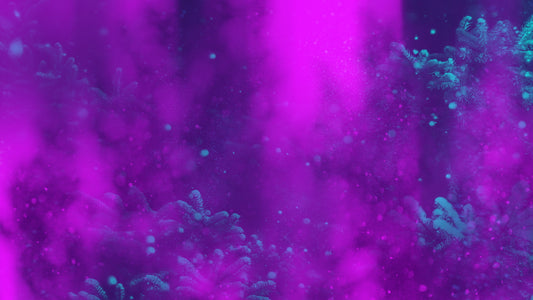 Christmas Reflections 10 Still