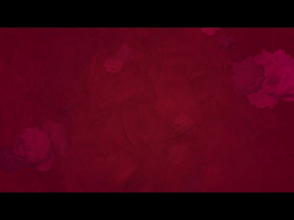 Who You Say I Am Loop 13