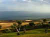 Galilee 4
