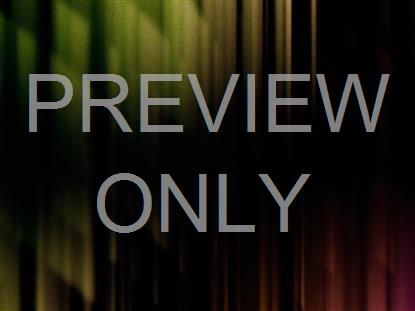 Reflections 04 Still