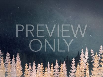 Christmas Sparkle 1 Still