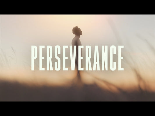 Perseverance