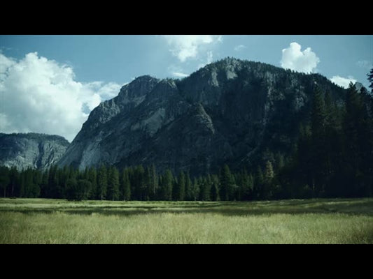 Yosemite Meadows Motion - 02