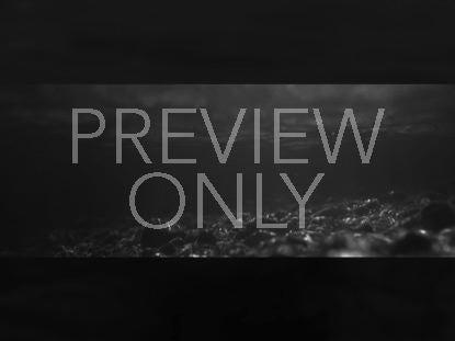 Black And White Panoramic River