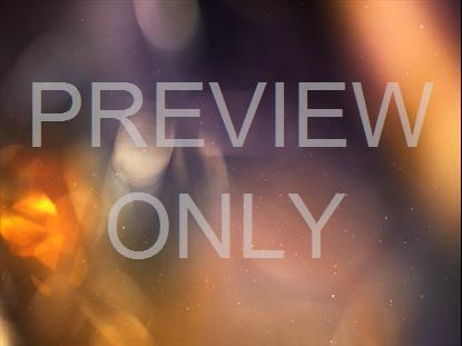 Fall Flares 14 Still