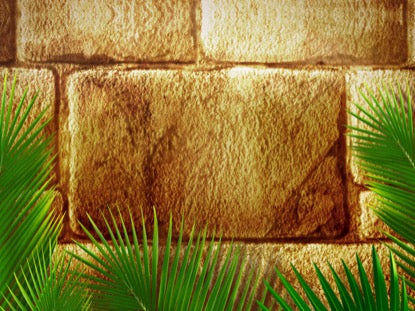 Jerusalem Palms Motion 1