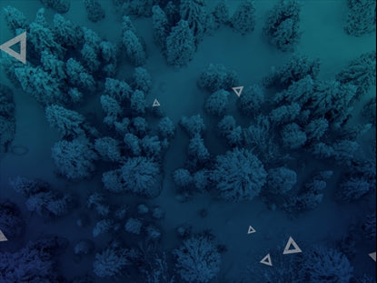 Pristine Snowy Forest Blue Triangles
