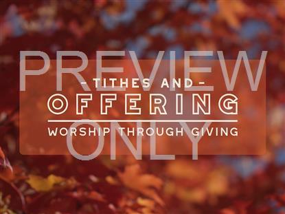 Fall Focus Offering