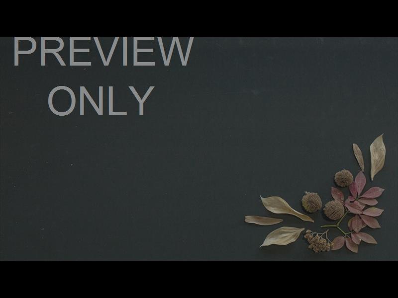 Thankful Heart Still 07