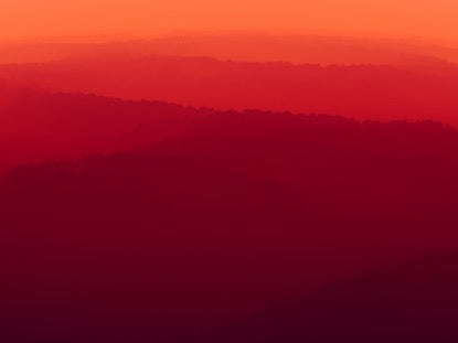 Fire Magic Forest Flight