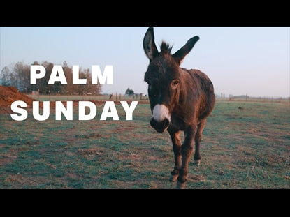 Palm Sunday