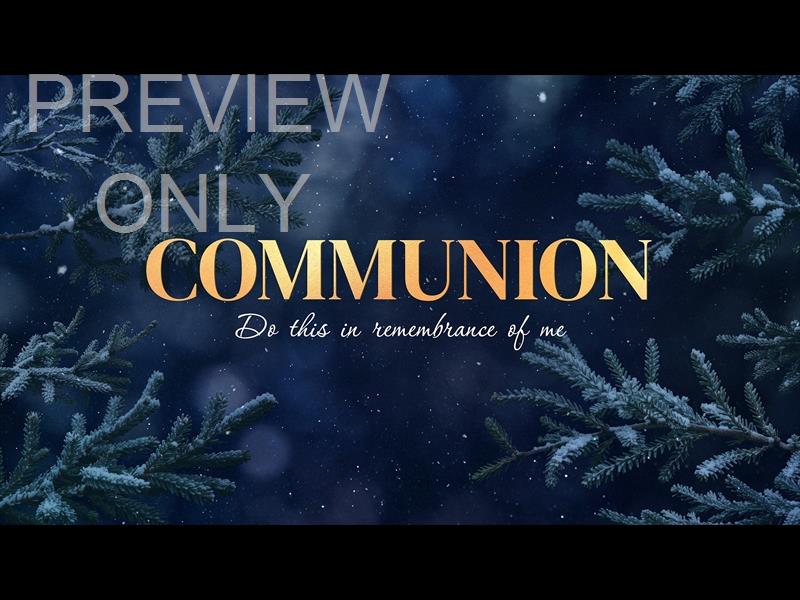 Christmas Wintertide Communion Still