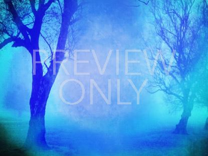 Autumn Forest 10 Still