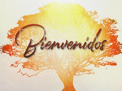 Tree Of Life Welcome Still