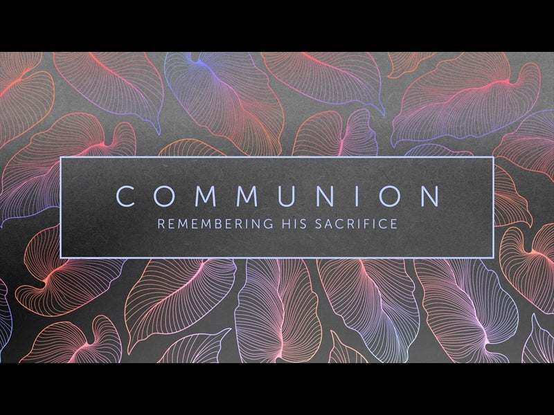 Tropical Night Communion