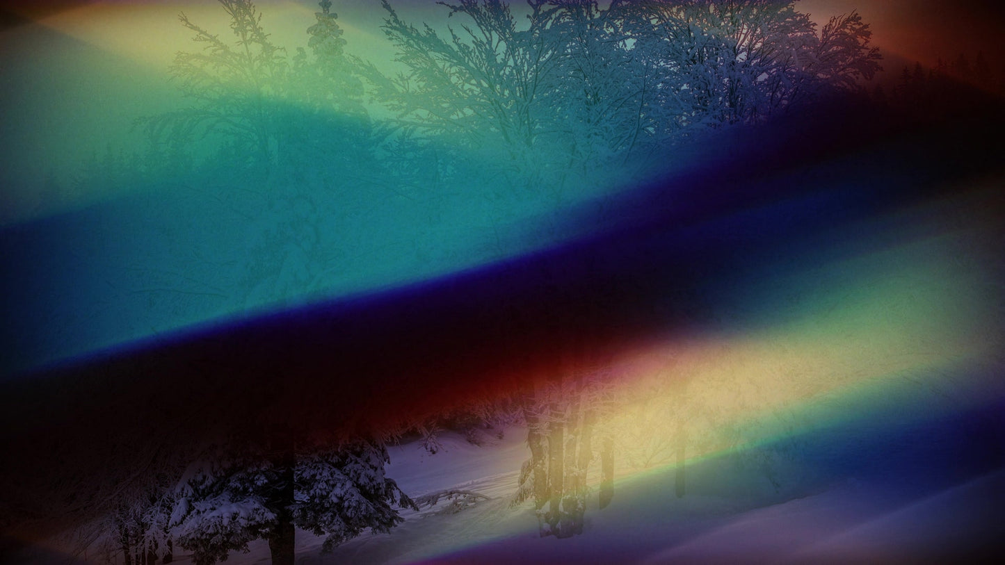 Christmas Light 12 Still