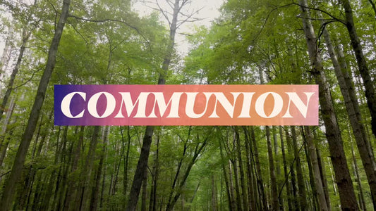 The Forest Communion Still