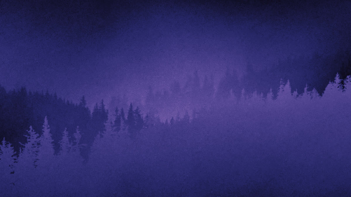 Timberline Still 06