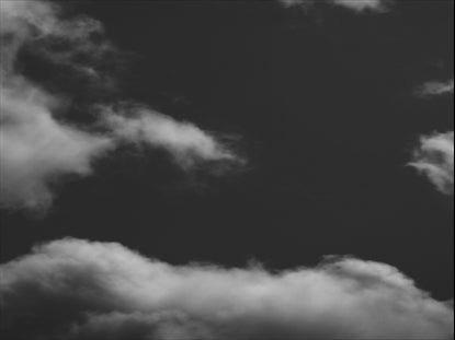 Flight Black And White