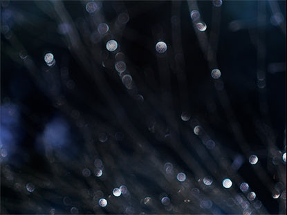 Winter Frost 16