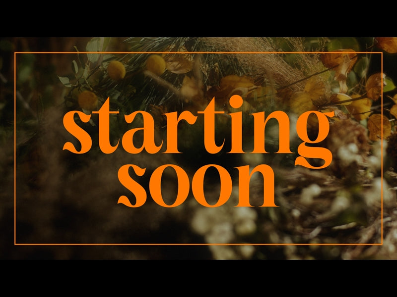 Flora Fall Starting Soon