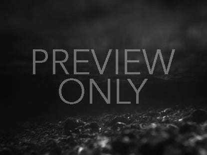 Black And White Caustic