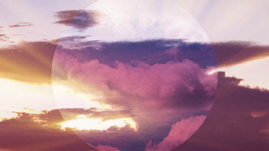 Spring Nature Still 15